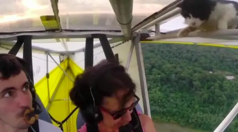 Woman\'s Insane Reaction After This Happens During Flight
