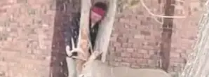 Man Attempts To Save THIS