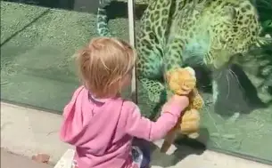 Toddler Becomes Friends With WHAT?