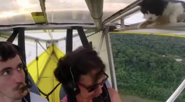 Woman\'s Insane Reaction After This Happens During Flight
