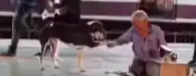 Elderly Man Makes Incredible New Friend