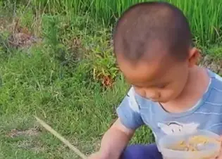 Camera Captures Toddler Doing This